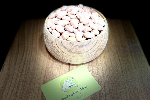 مغزبادام زمینی استانه اشرفیه